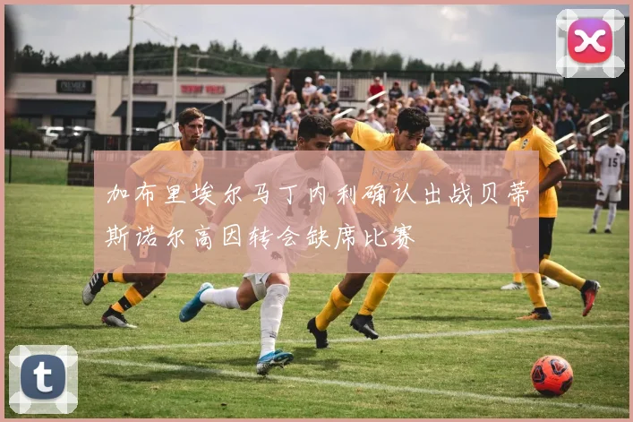 加布里埃尔马丁内利确认出战贝蒂斯诺尔高因转会缺席比赛